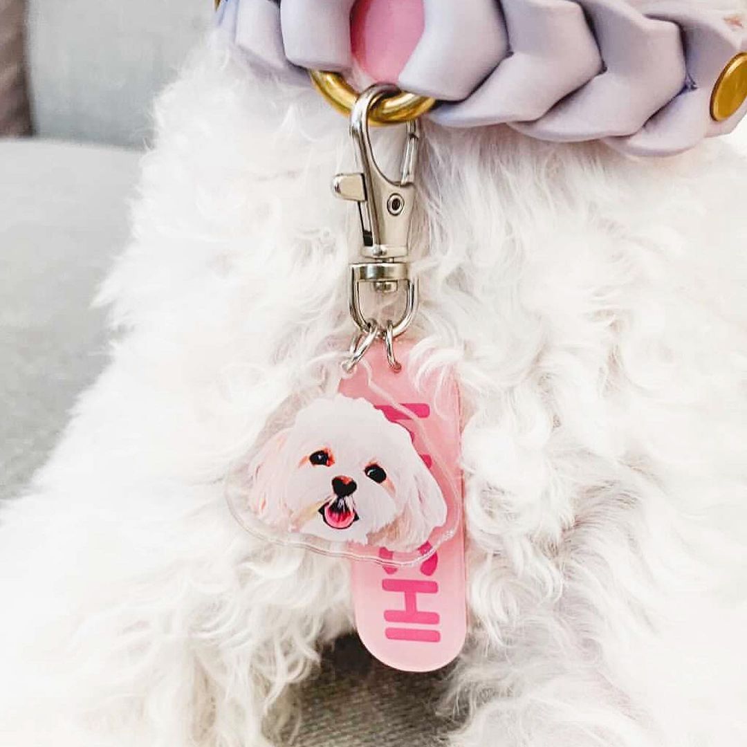 Pet's Acrylic Name Tag