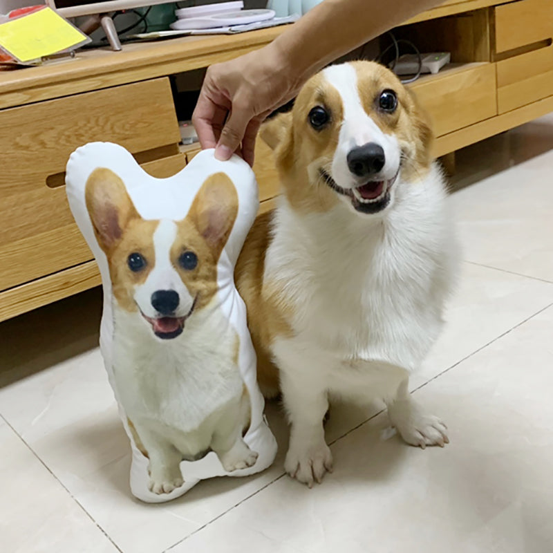 Personalised 3D Photo Pillows | Pet Pillows | Face Pillows