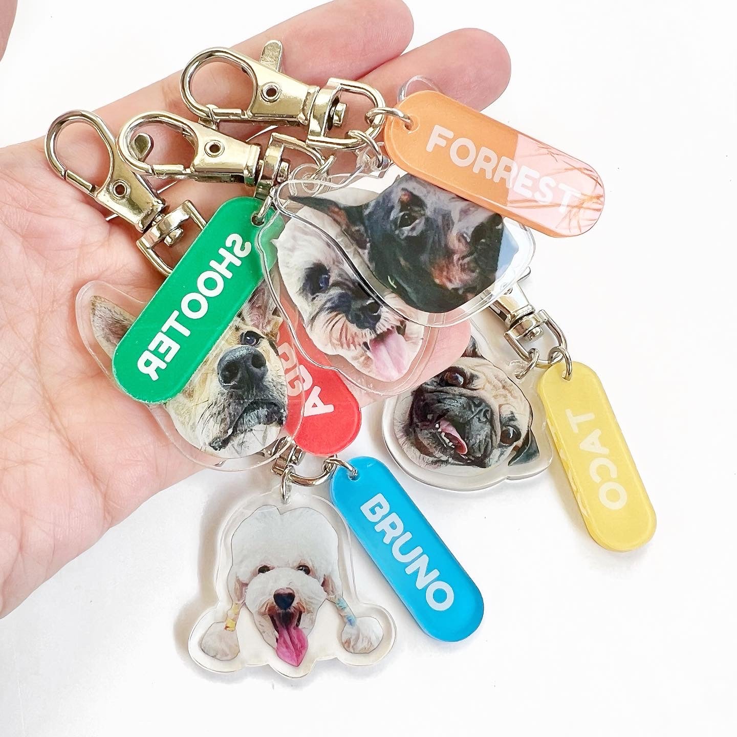 Pet's Acrylic Name Tag