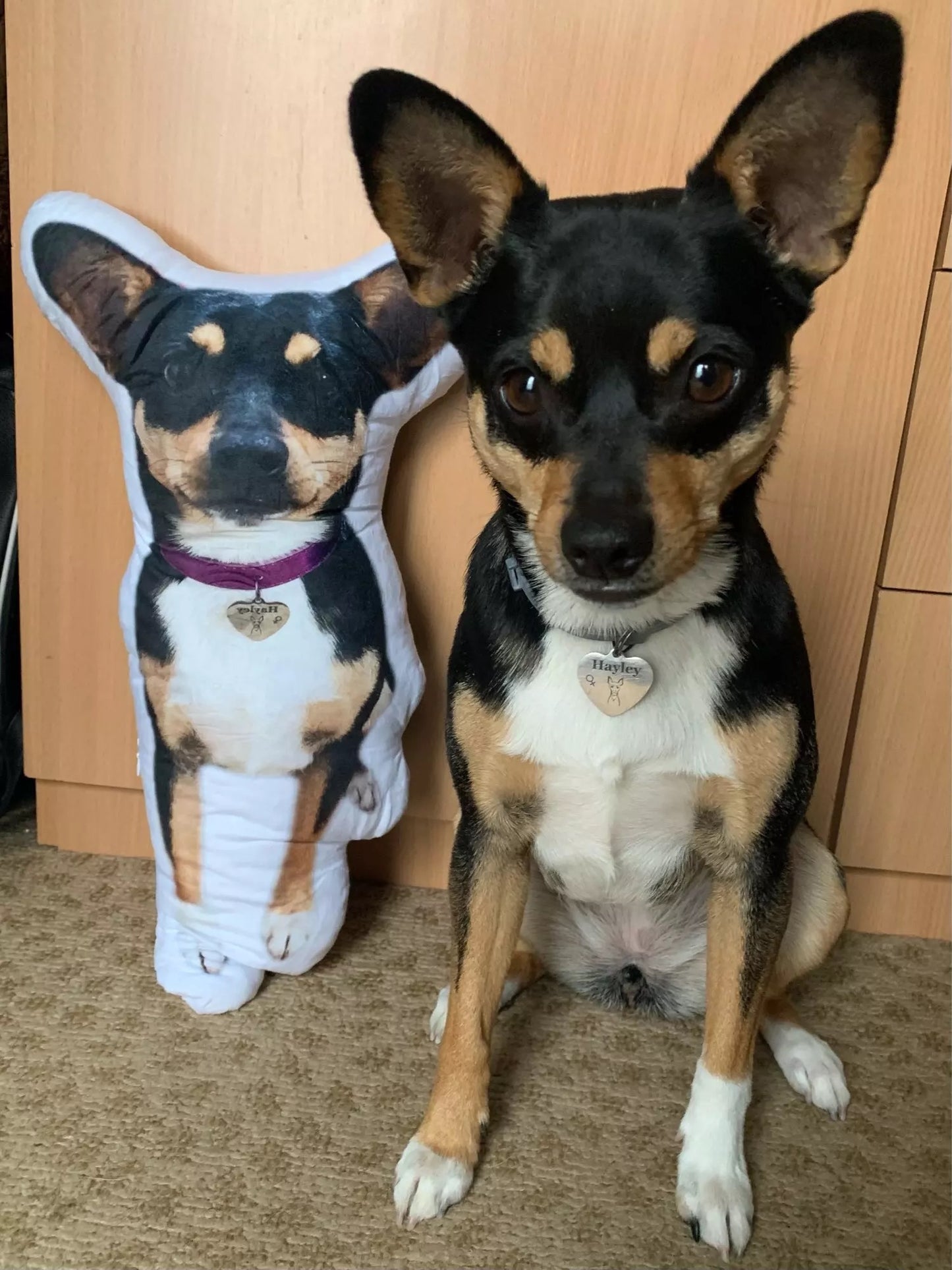 Personalised 3D Photo Pillows | Pet Pillows | Face Pillows