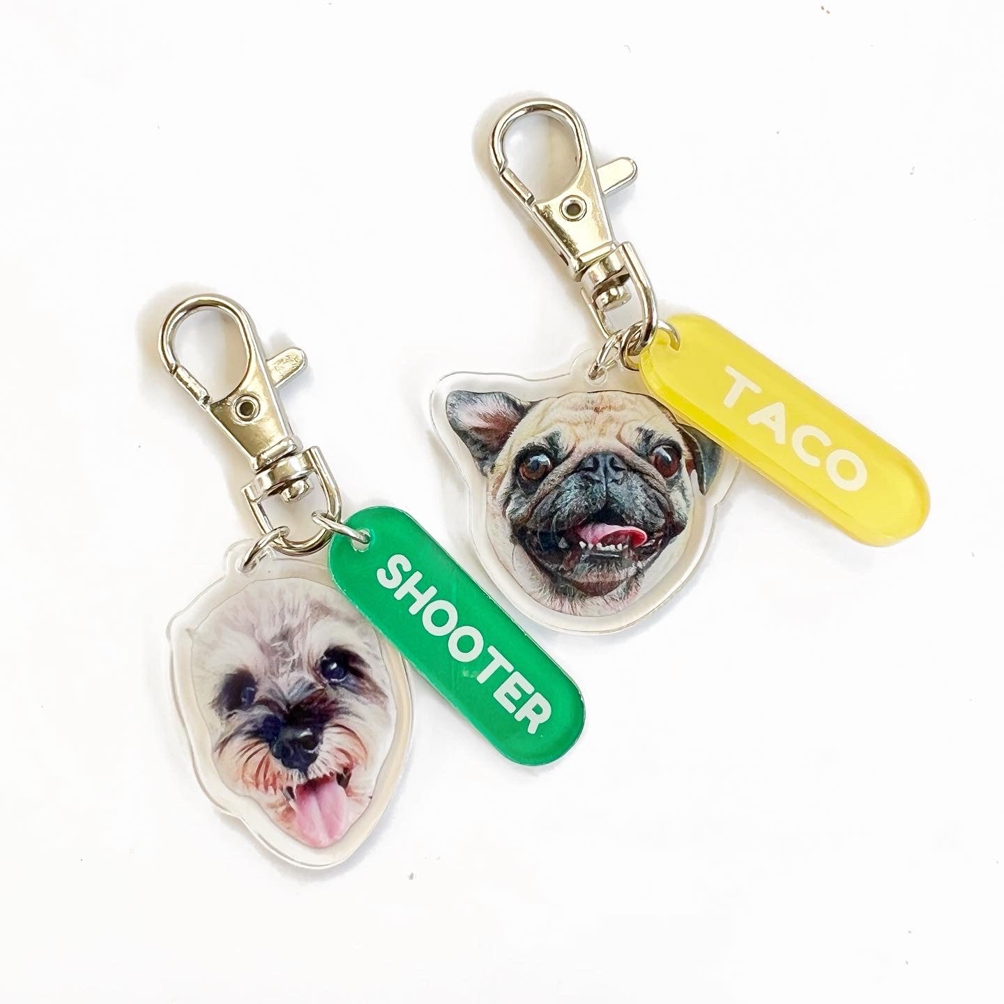 Pet's Acrylic Name Tag