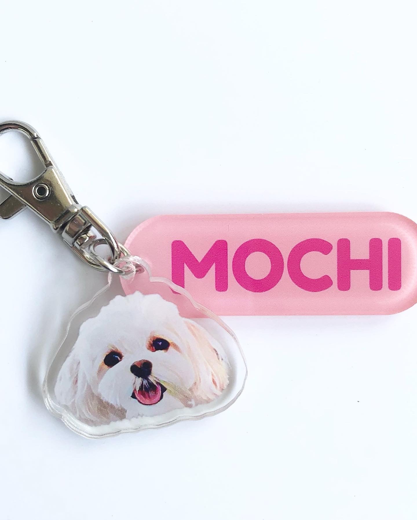 Pet's Acrylic Name Tag