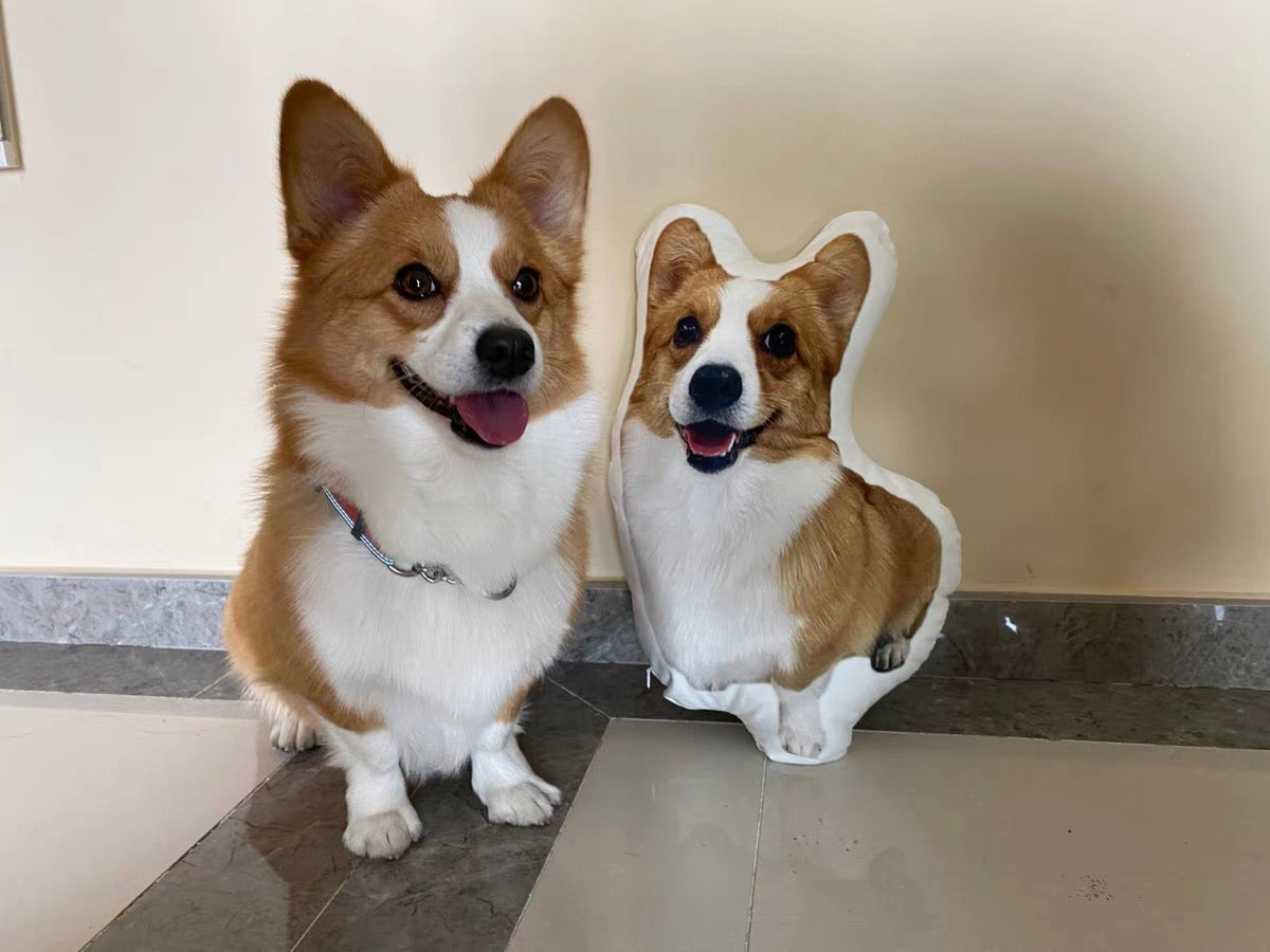 Personalised 3D Photo Pillows | Pet Pillows | Face Pillows