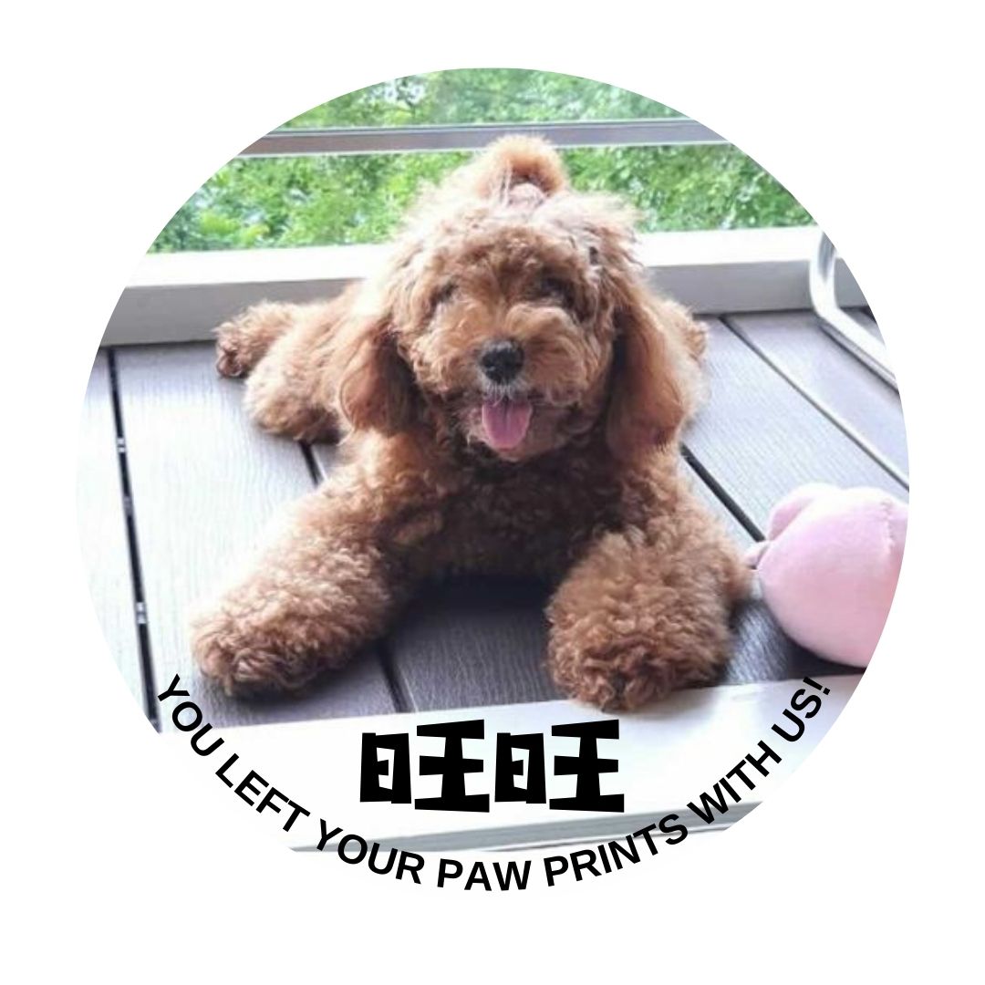 Pet Memorial Customize Photo Ornament