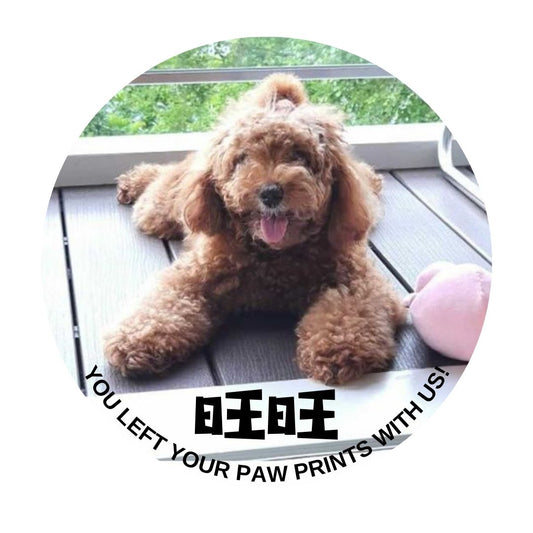 Pet Memorial Customize Photo Ornament