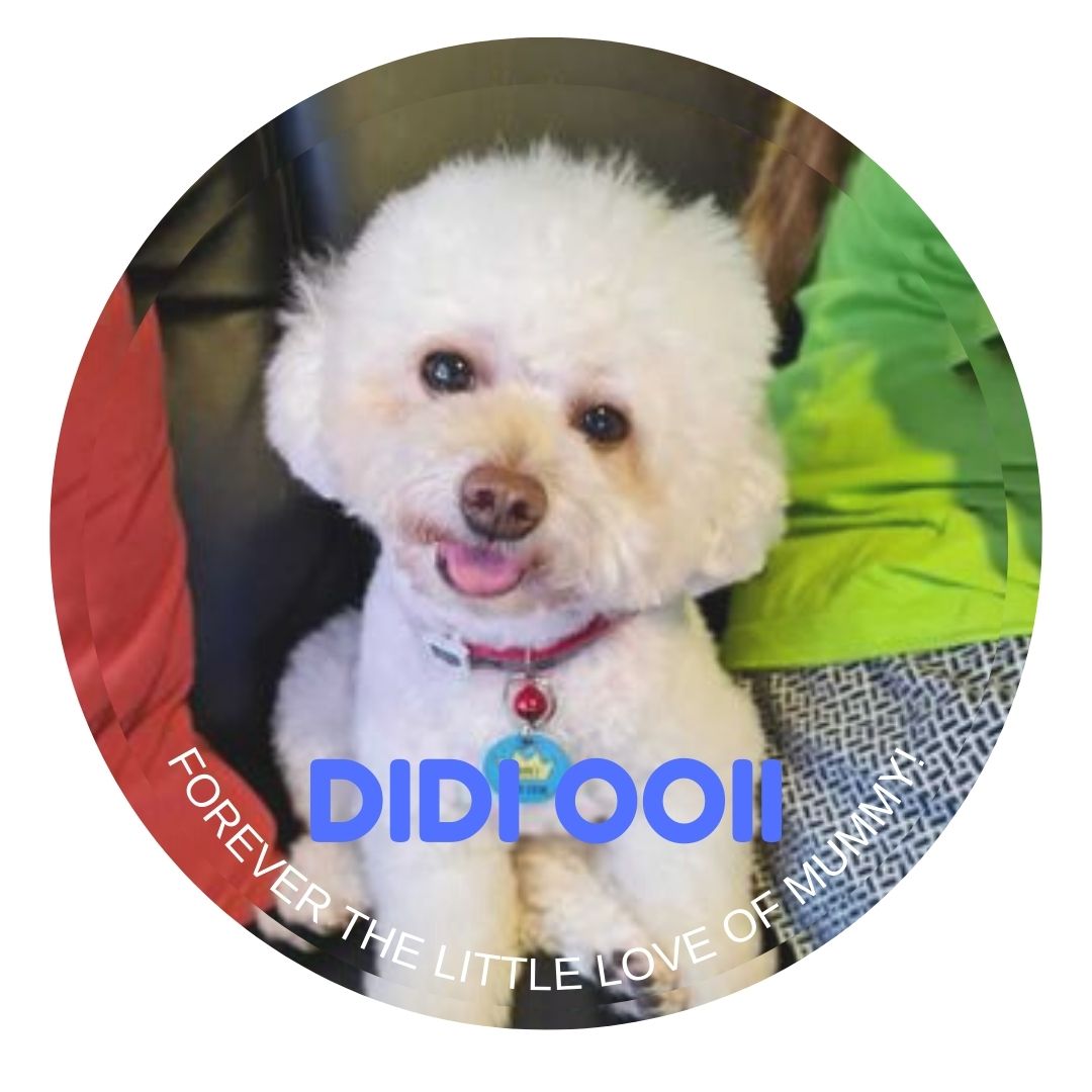 Pet Memorial Customize Photo Ornament