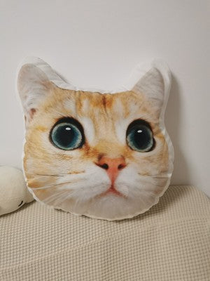 Personalised 3D Photo Pillows | Pet Pillows | Face Pillows